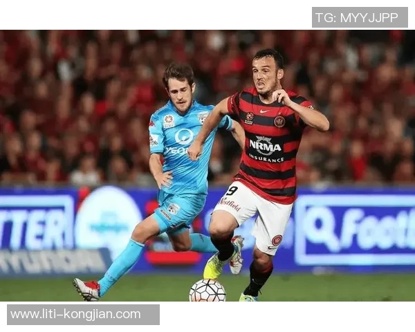 墨尔本联官方：德拉尼将回归对阵太攀蛇，伊利将继续缺阵